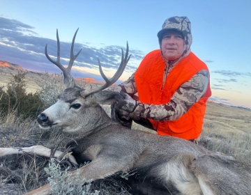 Sns Mule Deer Wyoming Montana 2025 8.jpg